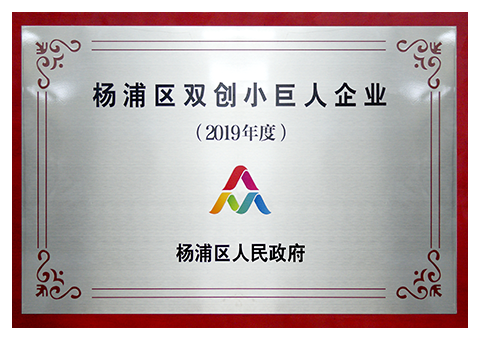 杨浦区双创小巨人企业